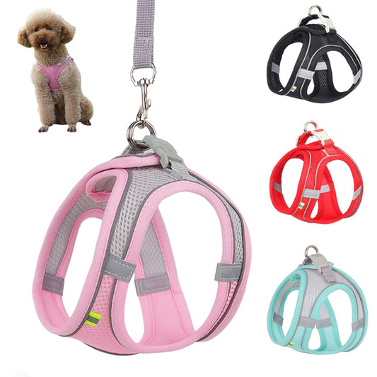 Dog Harness Leash Set for  Dogs, Outdoor Walking Lead Leash.